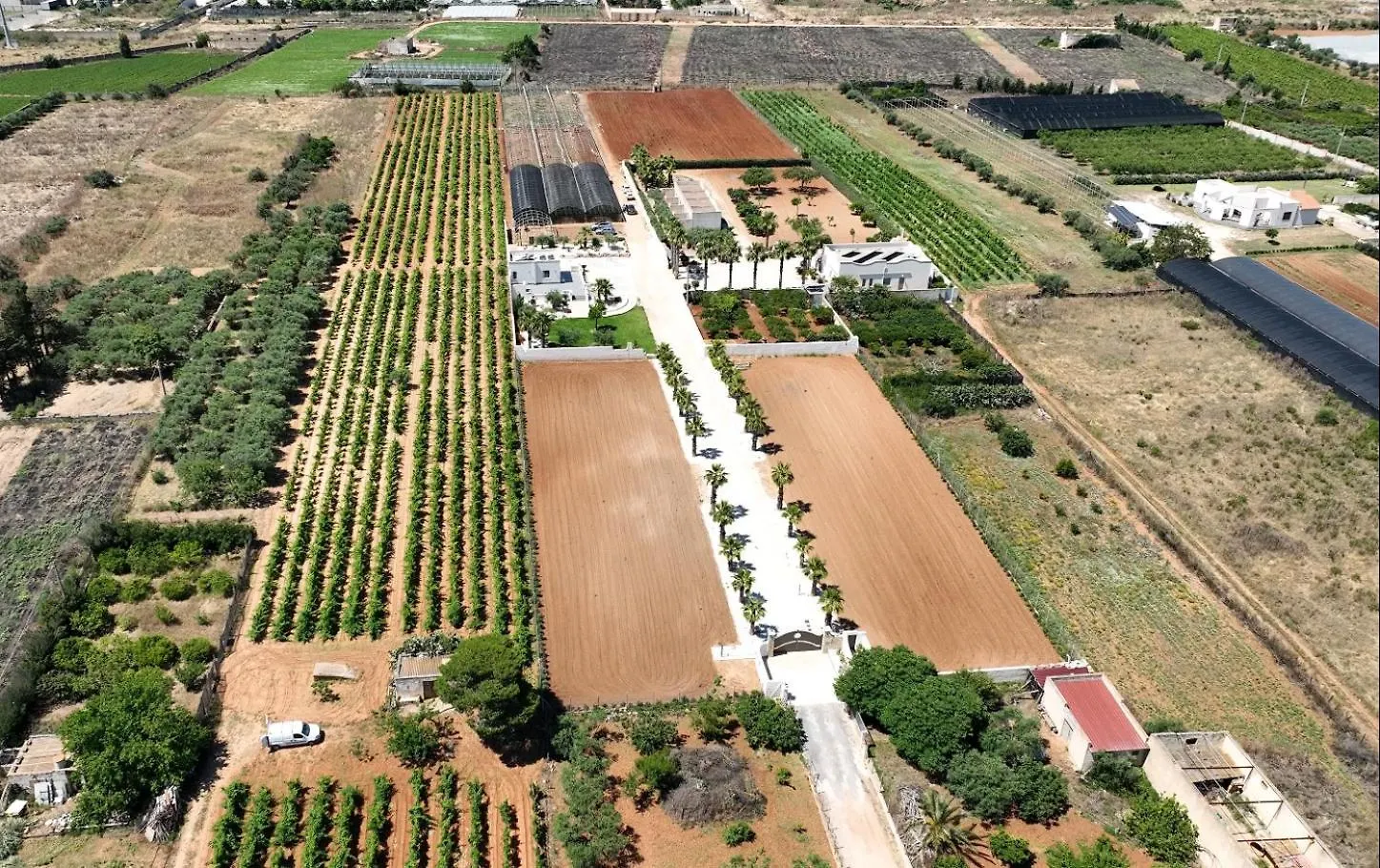 Casa Vacanze Il Vigneto Marsala